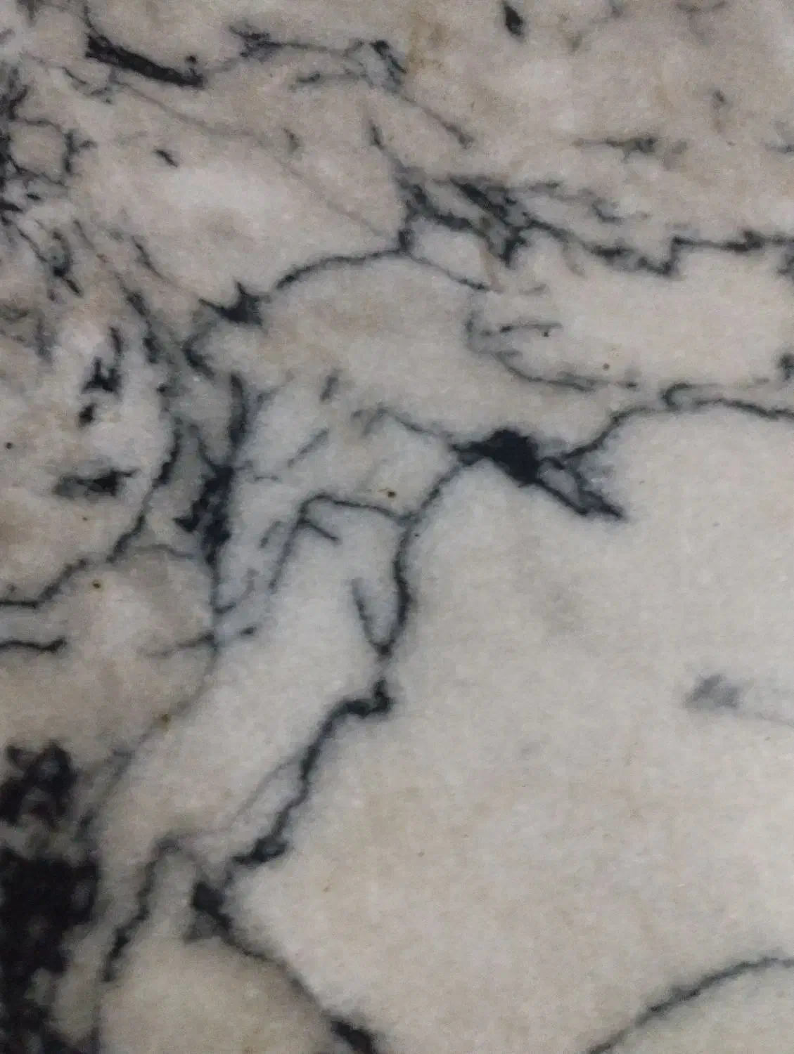 شاگرد کاشی کار هستم|خدمات پیشه و مهارت|سنقر, |دیوار