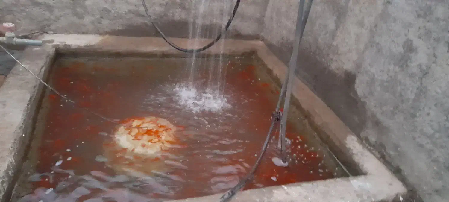 ماهی گلی شب عید|ماهی|قم, قلعه یزدیها|دیوار