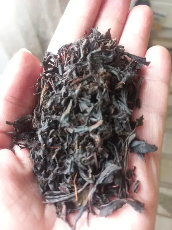 چای بهاره ی گیلان(املش)|خوردنی و آشامیدنی|تهران, تهرانپارس غربی|دیوار