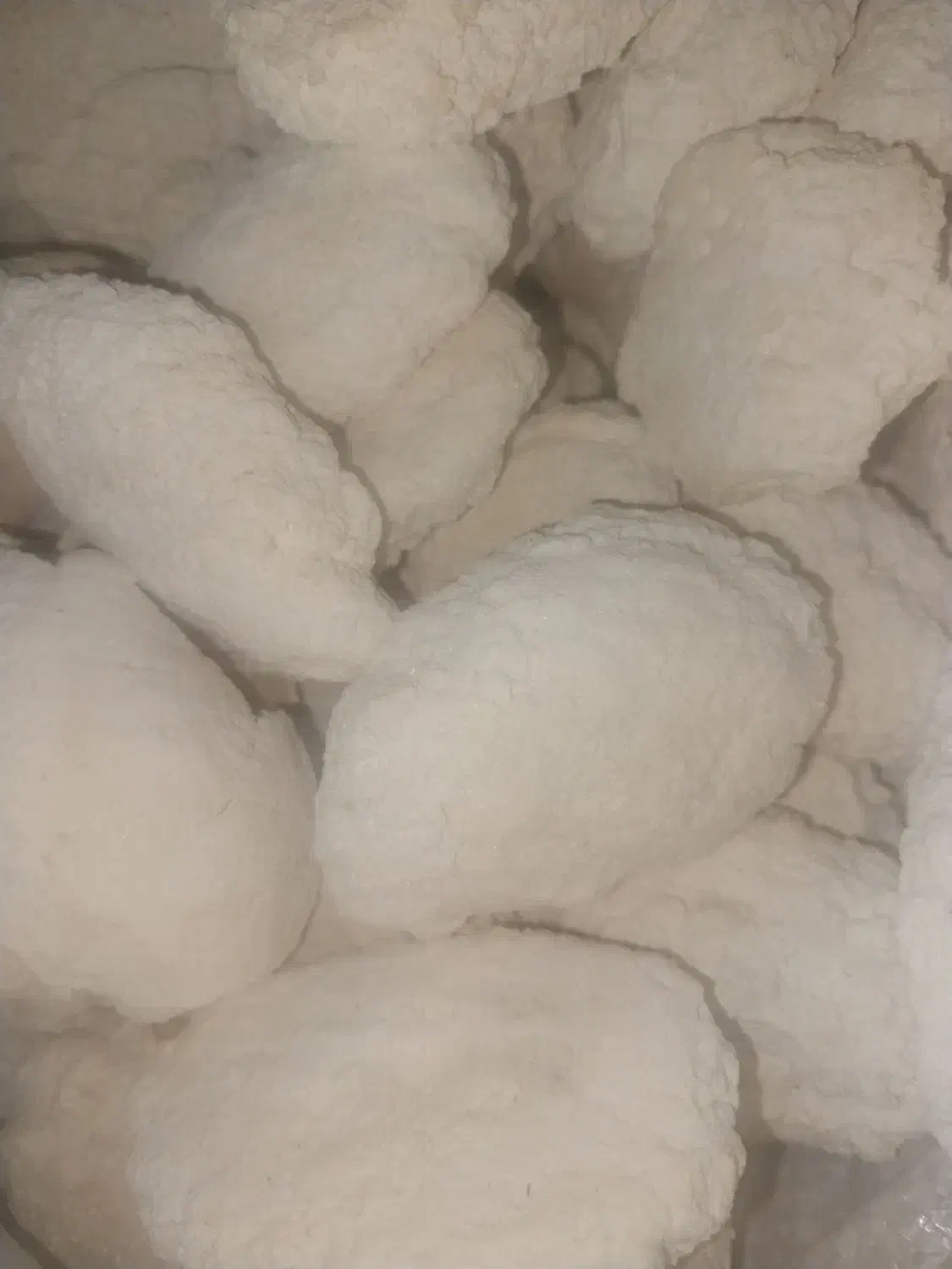 کشک گاو بهداشتی|خوردنی و آشامیدنی|بیلوار, |دیوار