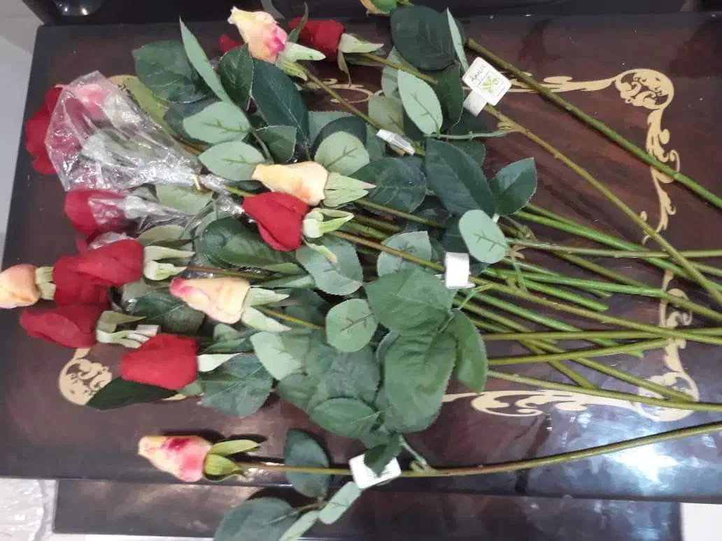 کفش شیک  مراسم و گل رز های مصنوعی جهت فروش|کیف، کفش، کمربند|بابل, |دیوار