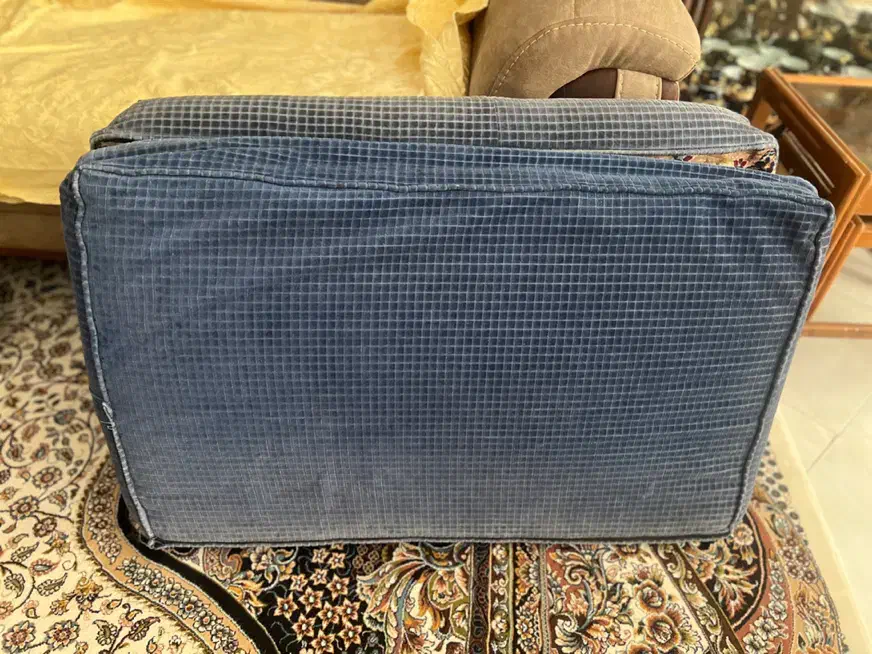 یک جفت پشتی دست باف طرح طاووس|پشتی|اصفهان, برازنده|دیوار