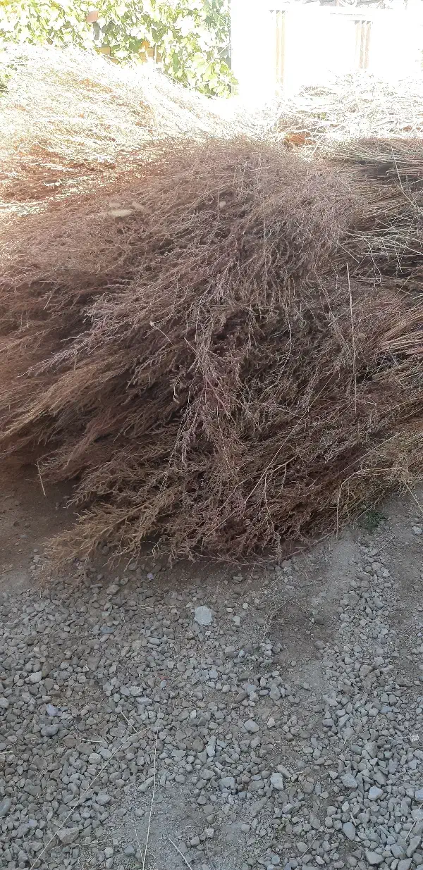 جارو شهر داری|لوازم نظافت|نهاوند, |دیوار