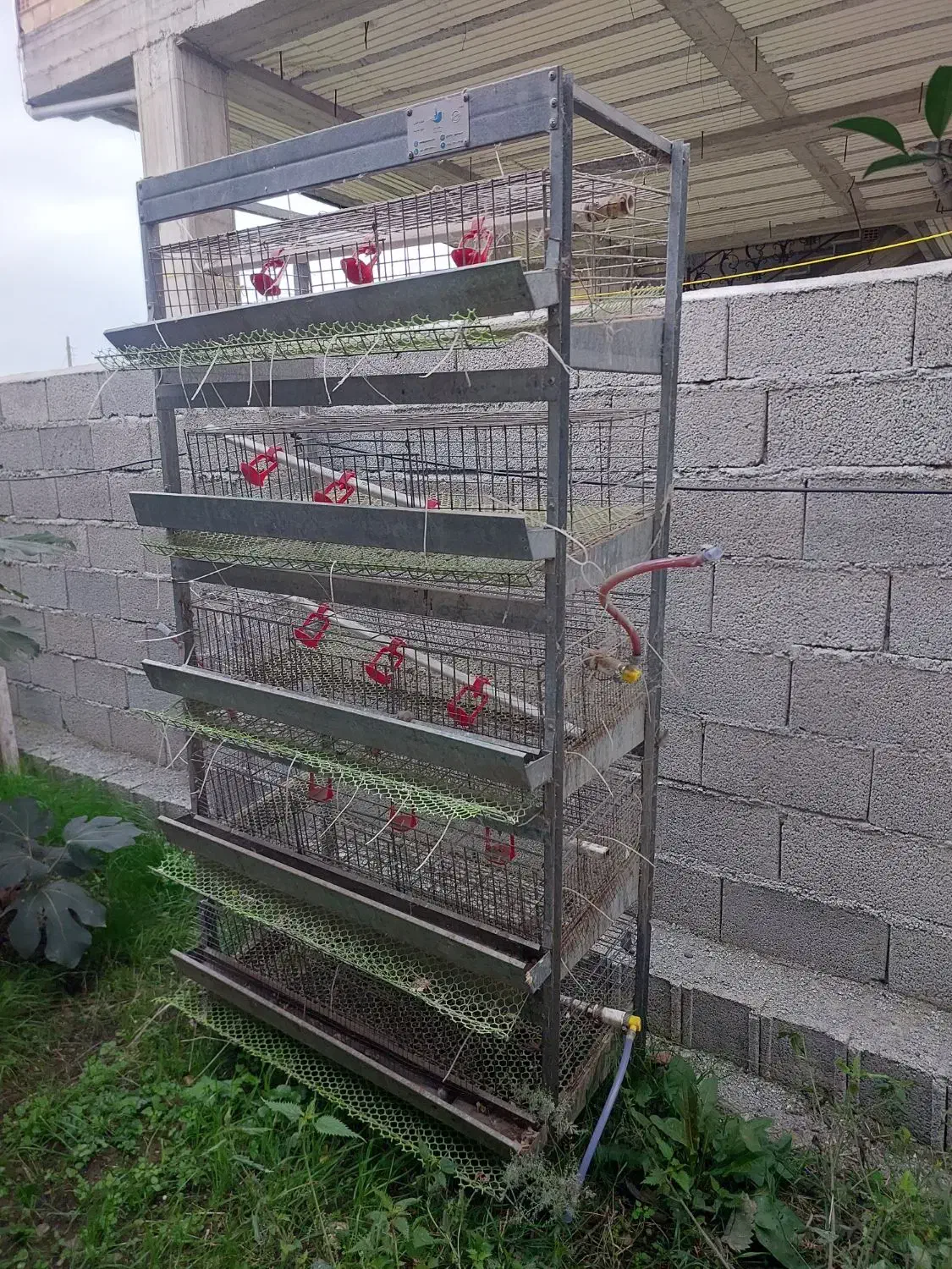 فروش قفسه۵طبقه بلدرچین وجوجه|لوازم جانبی حیوانات|تالش, جوکندان|دیوار