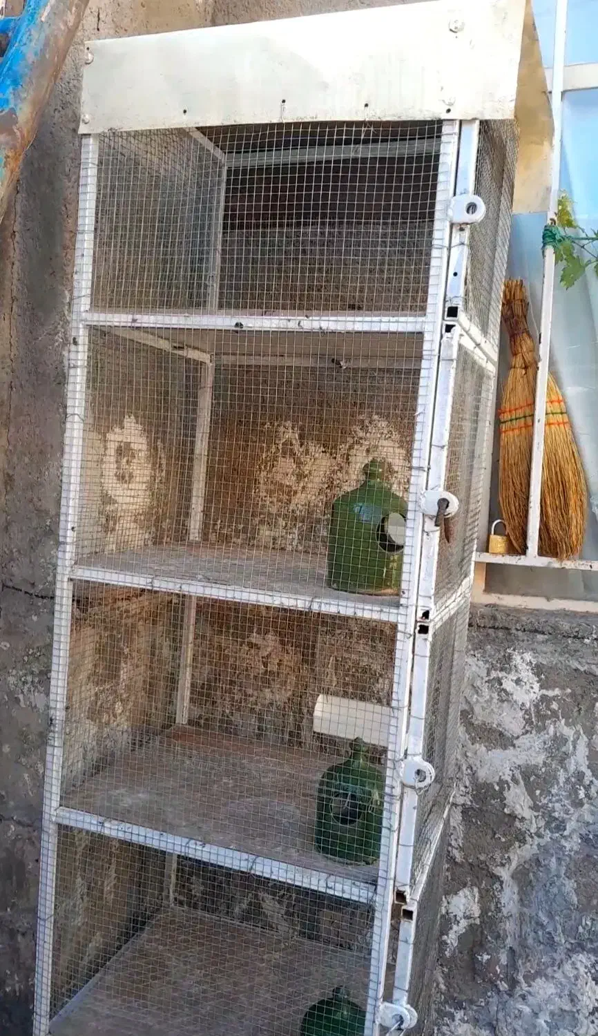 ۵طبقه جفتی|لوازم جانبی حیوانات|بوئین زهرا, |دیوار