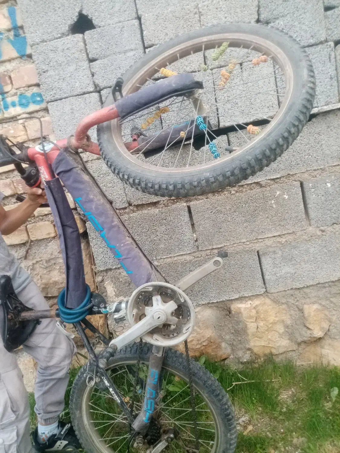 دوچرخه 20|دوچرخه، اسکیت، اسکوتر|سیلوانه, |دیوار