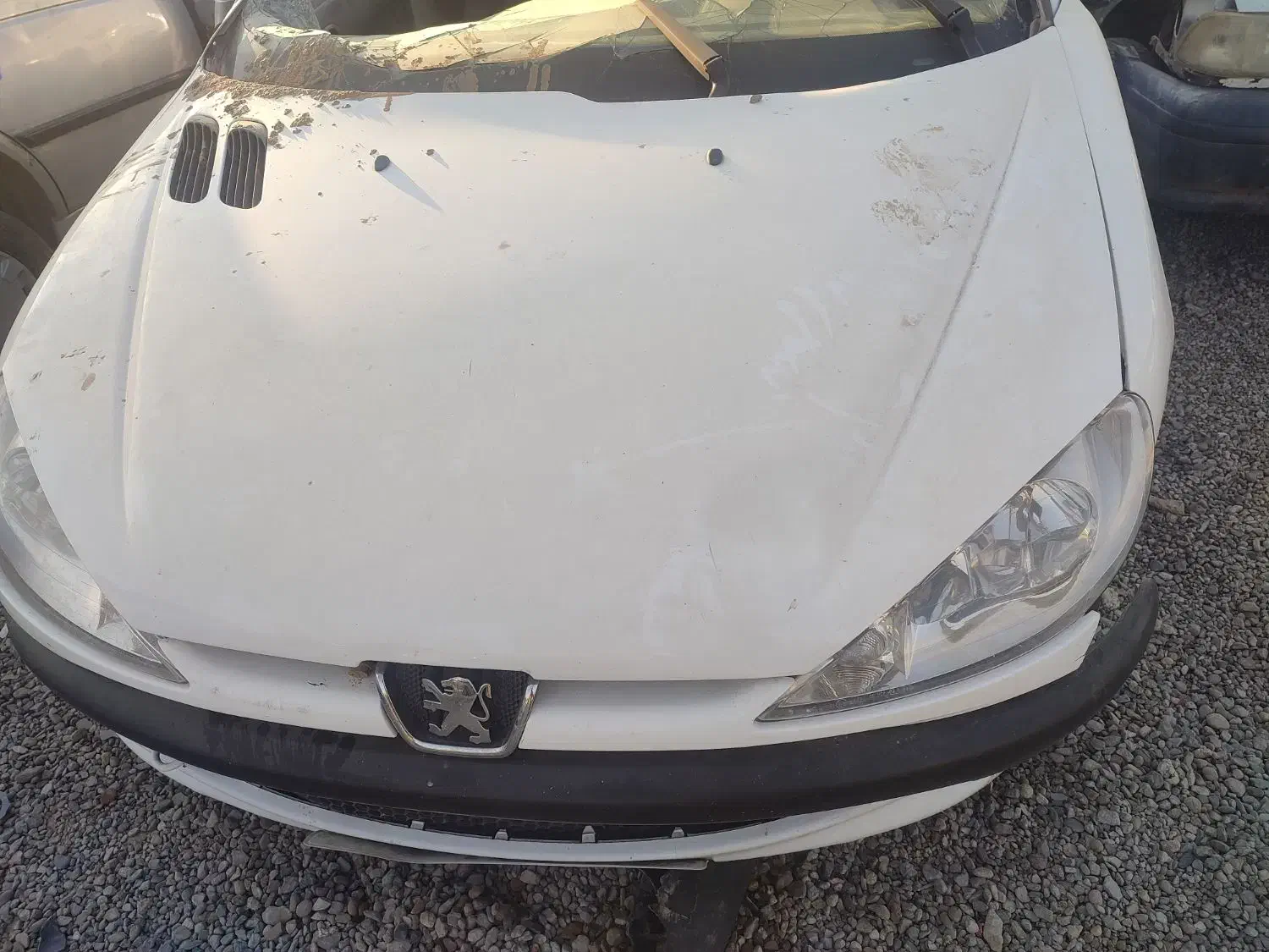 خودرو206|خودرو سواری و وانت|گلبهار, شهر جدید گلبهار|دیوار