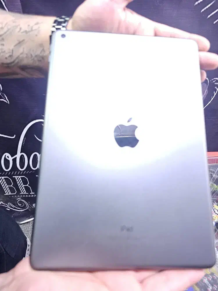 ای پد اپل|تبلت|بندر انزلی, تختی|دیوار