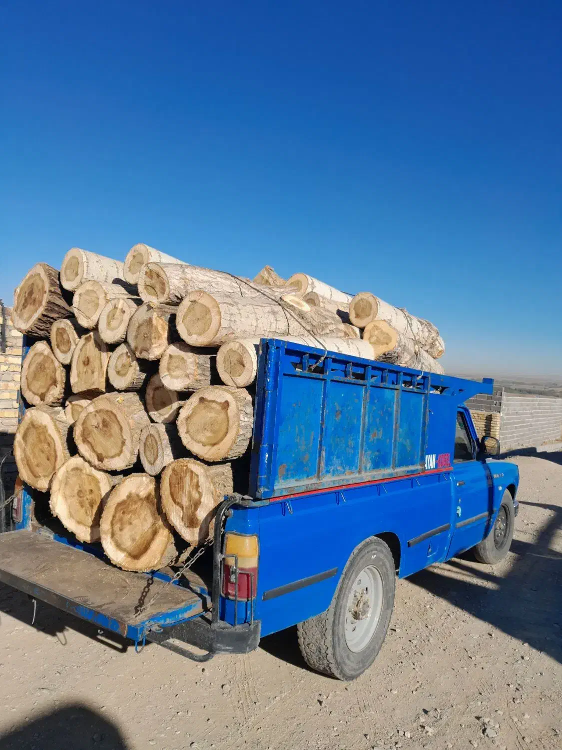 خرید چوب ودرخت|خدمات باغبانی و درختکاری|زنجان, |دیوار