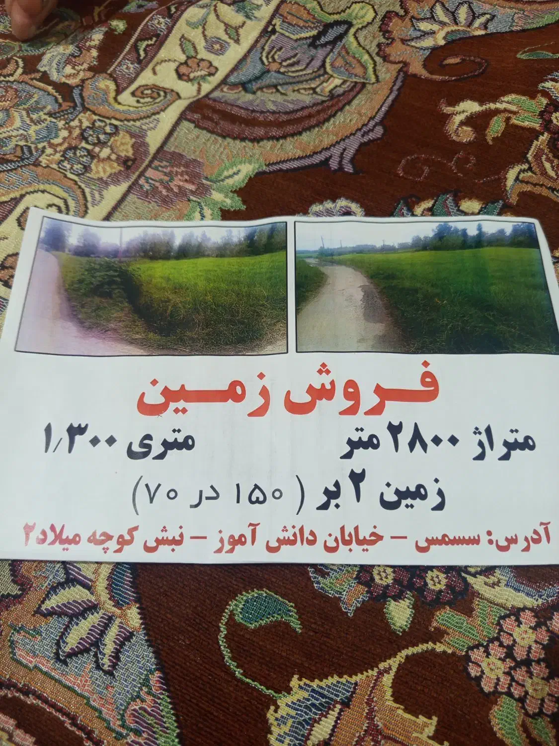 زمین|فروش زمین و ملک کلنگی|رشت, خرسندی|دیوار