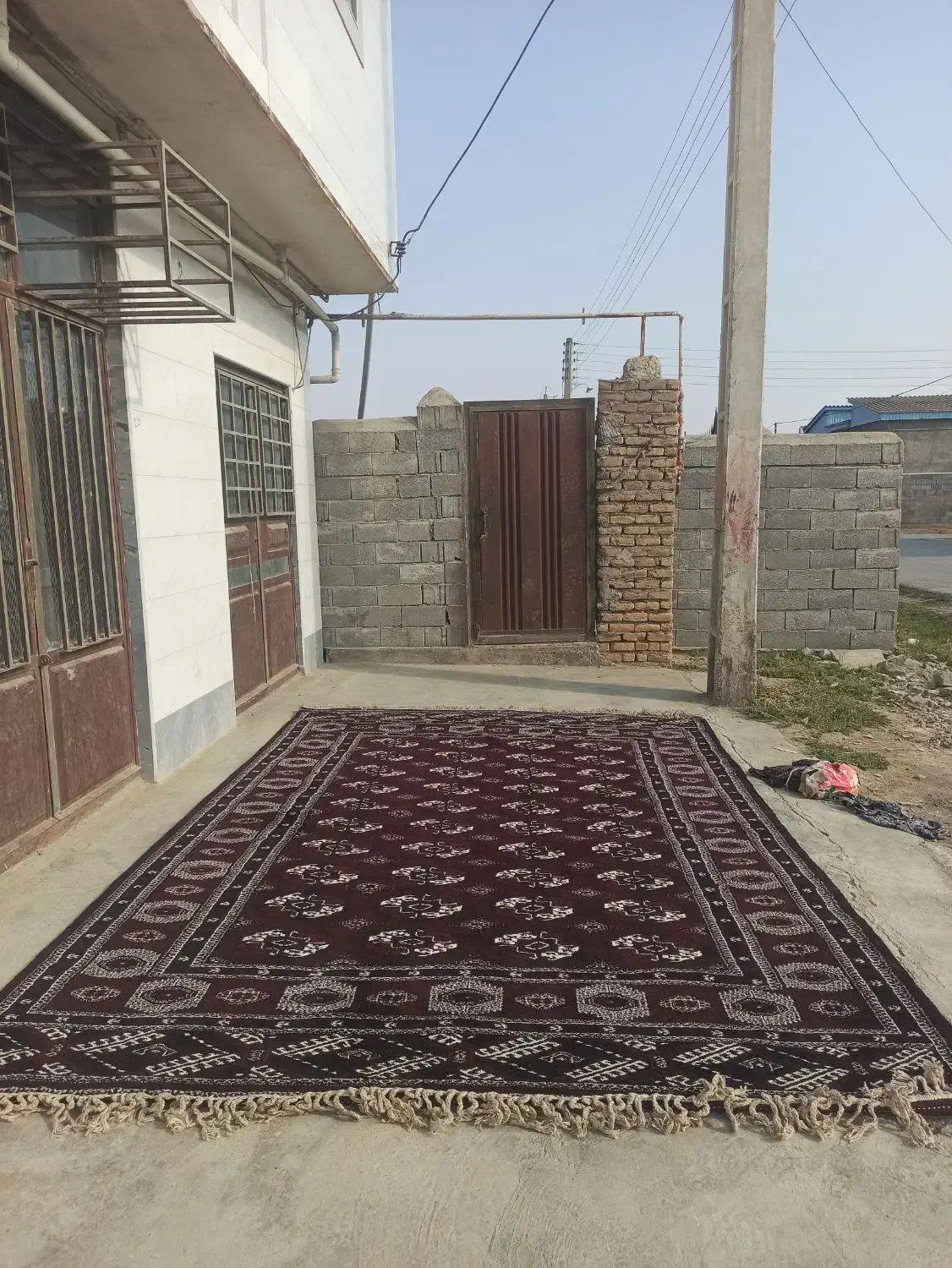 قالی ترکمنی(عرض۲/۶۰متر طول۴متر)|فرش|آق قلا, |دیوار