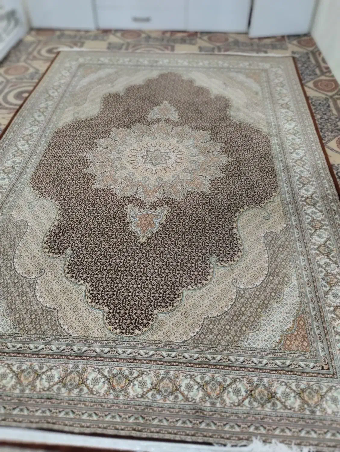 فرش ۶ متری ریزه ماهی|فرش|بهارستان, |دیوار