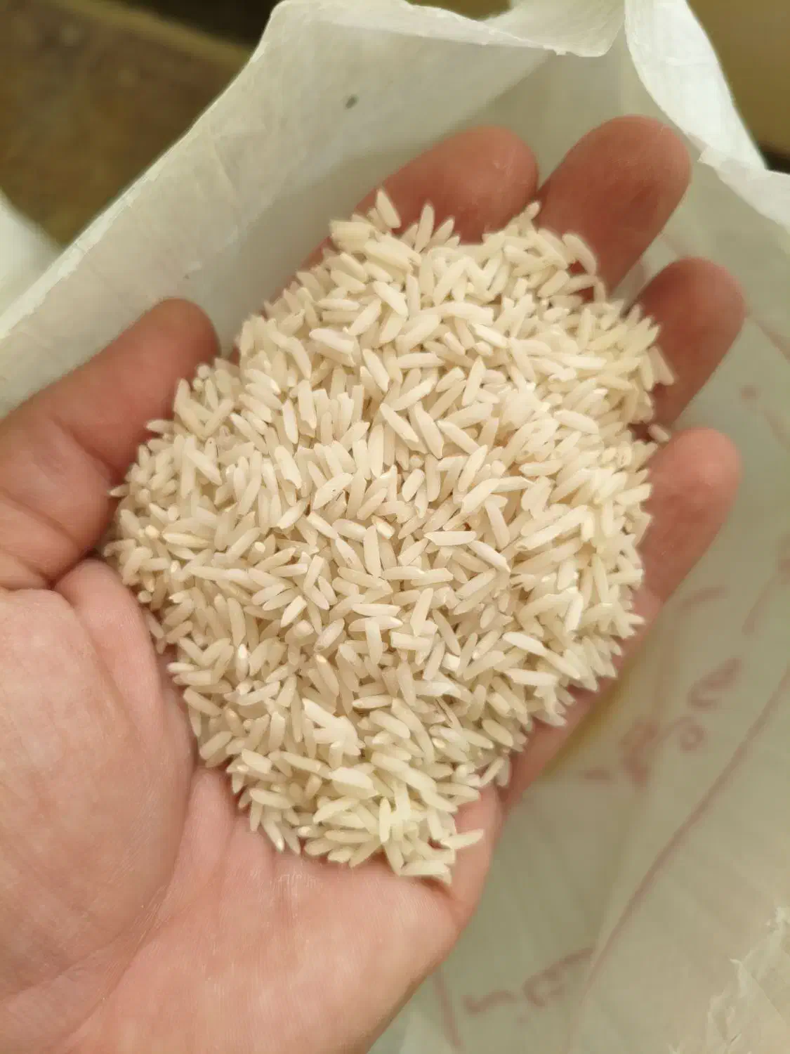 فروش برنج هاشمی|خوردنی و آشامیدنی|شاهینشهر, شهرک ردانی پور|دیوار