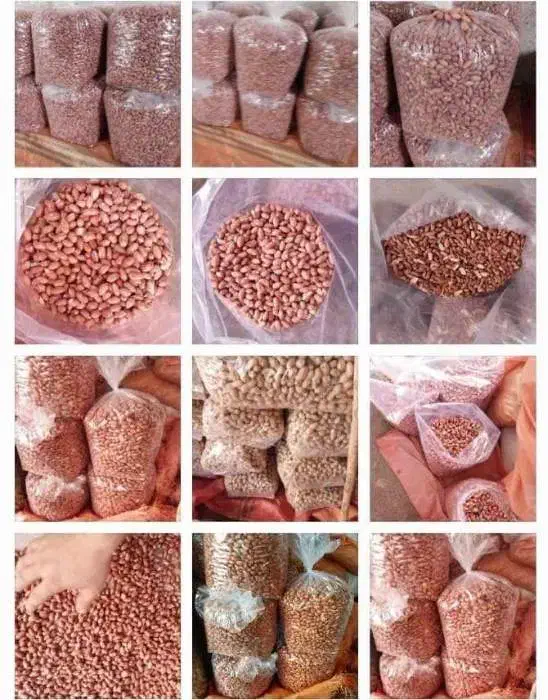 بادام زمینی دشت مغان|عمدهفروشی|تهران, افسریه شمالی|دیوار