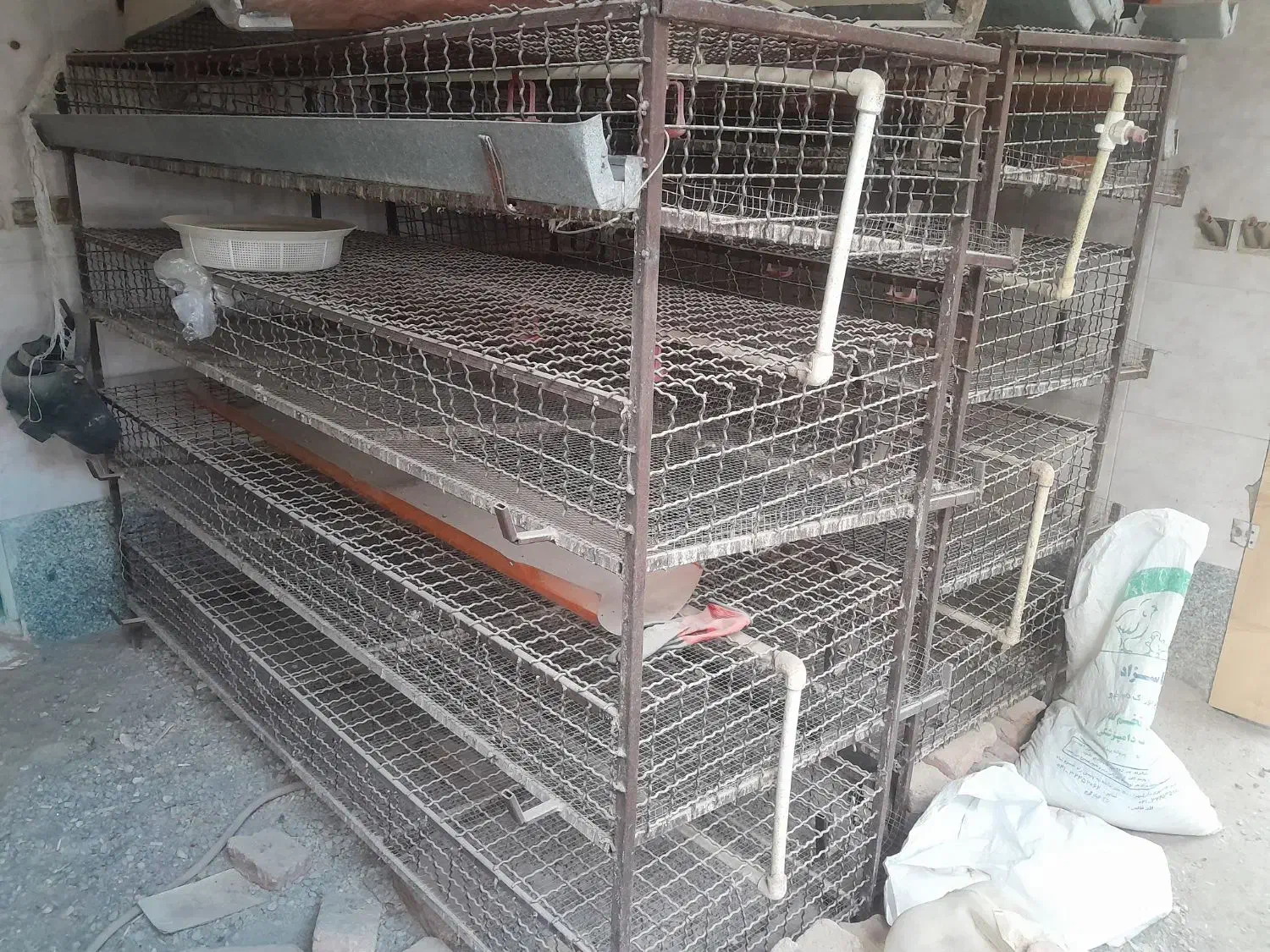 قفس نگهداری بلدرچین تخمگذار|لوازم جانبی حیوانات|خسروشاه, |دیوار