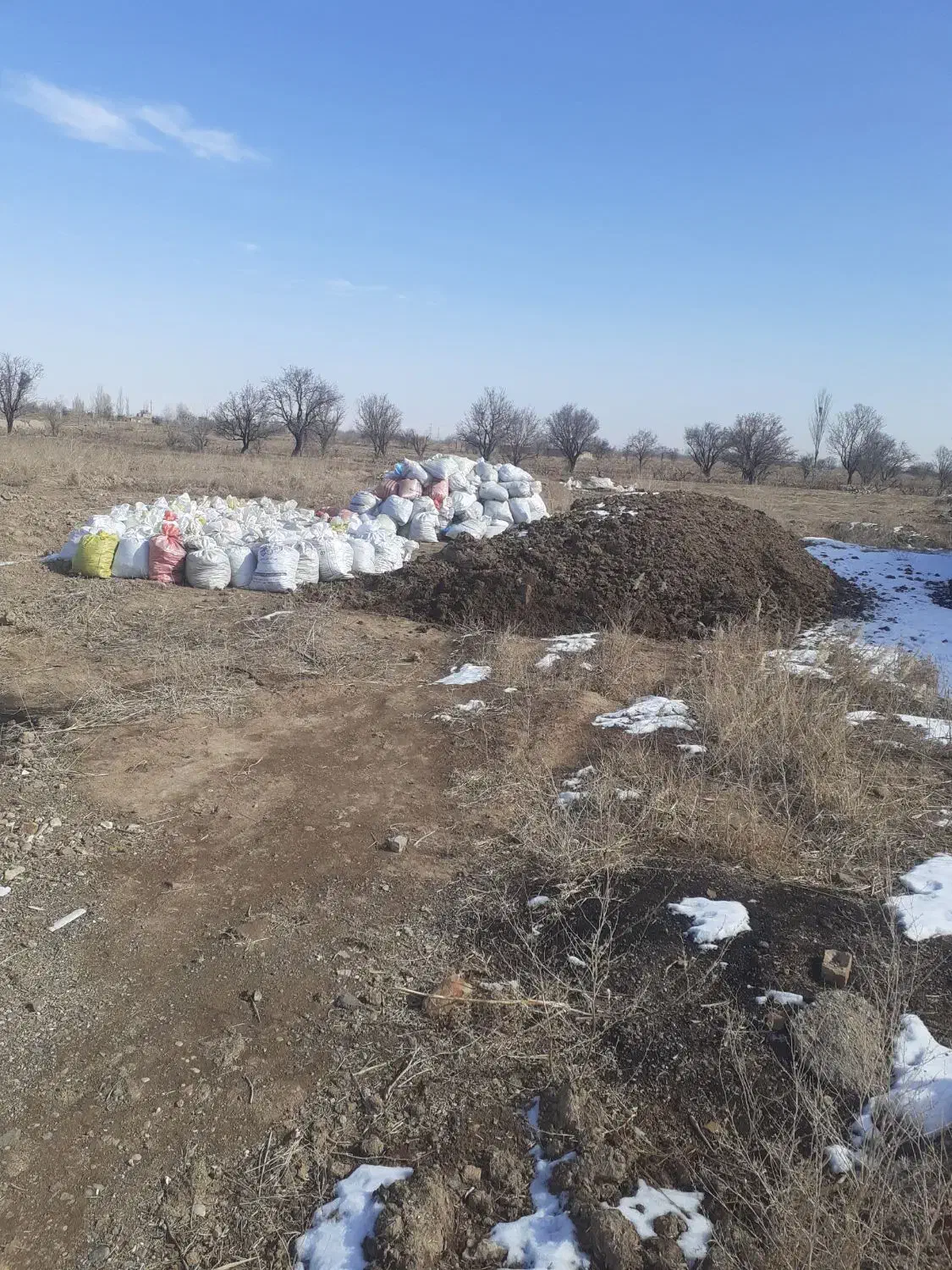 کود حیوانی|گل و گیاه طبیعی|اسفرورین, |دیوار