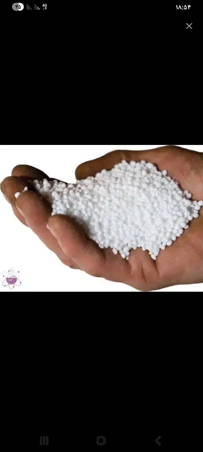 کود سفید|گل و گیاه طبیعی|حمیل, |دیوار