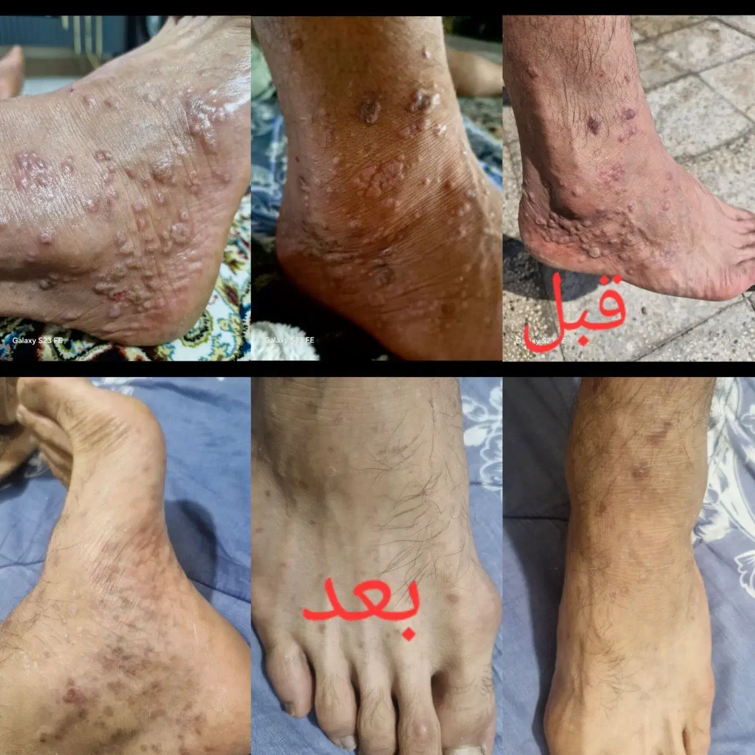 همایش طب سنتی|گردهمایی و همایش|بیرجند, |دیوار