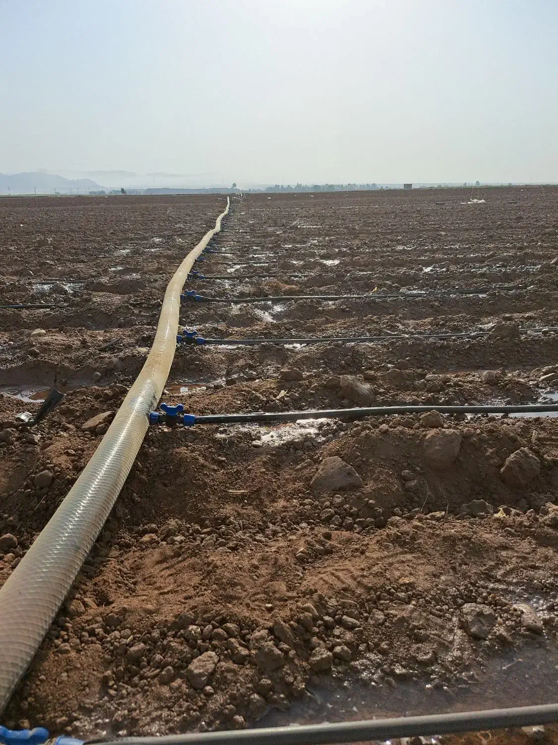 قطره ای باغ ولوله کشی زمین کشاورزی|خدمات باغبانی و درختکاری|اندیمشک, |دیوار