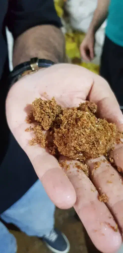 پخش عمده کشمش صفا|عمدهفروشی|اهواز, کیانشهر|دیوار