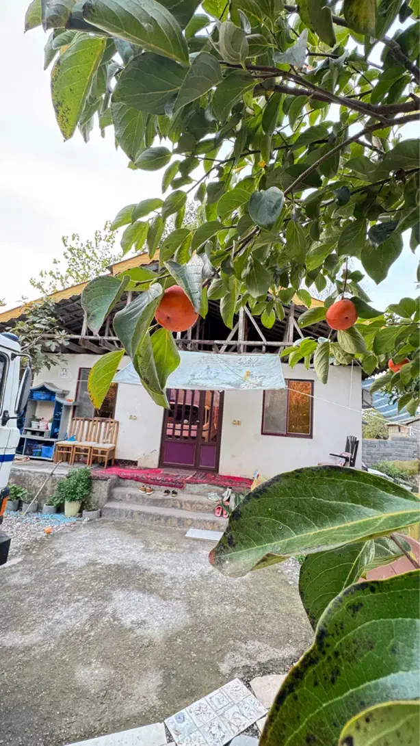 ویلا باغ ۳۰۰ متری سند تکبرگ با ۸۰ متر بنا دو خواب|فروش خانه و ویلا|رشت, بلوار گیلان|دیوار