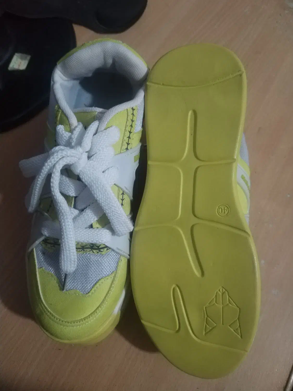 کفش نو|کیف، کفش، کمربند|مشهد, امیرآباد|دیوار