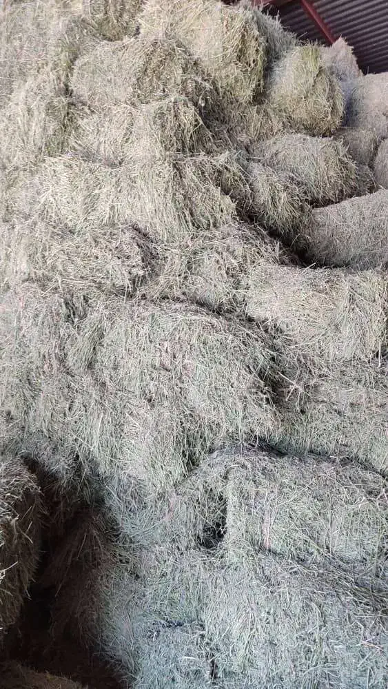 یونجه پرس|عمدهفروشی|آباده, |دیوار