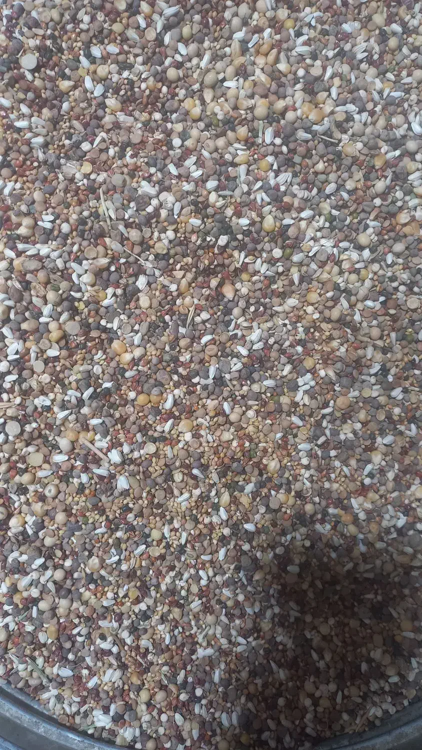 خوارک پرنده عمده و خرده|لوازم جانبی حیوانات|رفسنجان, |دیوار