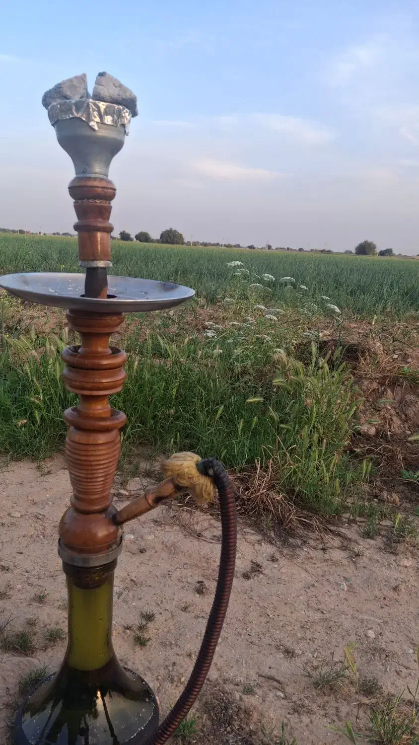 قلیان زرد ۹ ساله|کلکسیون و سرگرمی|ایلام, |دیوار