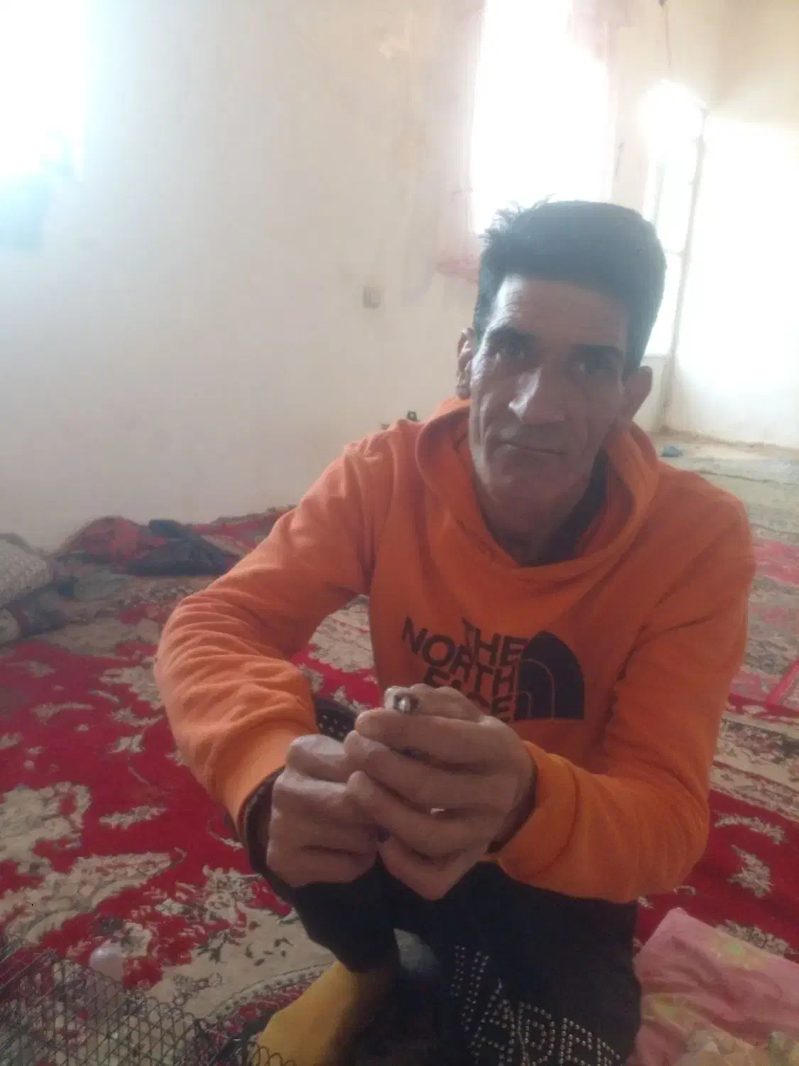 فروش سهره و مرغ شاخدار|پرنده|آبگرم, |دیوار