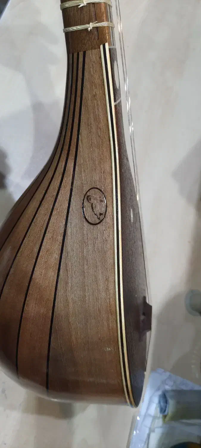 سه تار شیخ کاسه گردو|سازهای سنتی|شیراز, ارم|دیوار