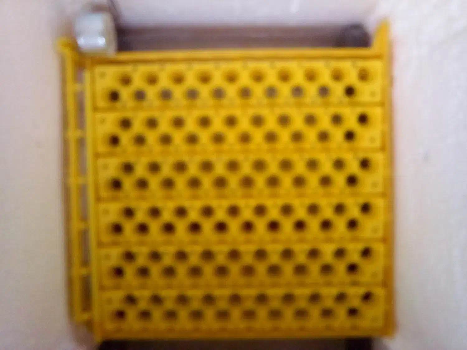 دستگاه جوجه کشی ( دستک )|لوازم جانبی حیوانات|لنگرود, |دیوار