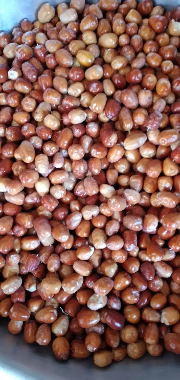 سنجد تازه شیرین|خوردنی و آشامیدنی|شاهین دژ, |دیوار