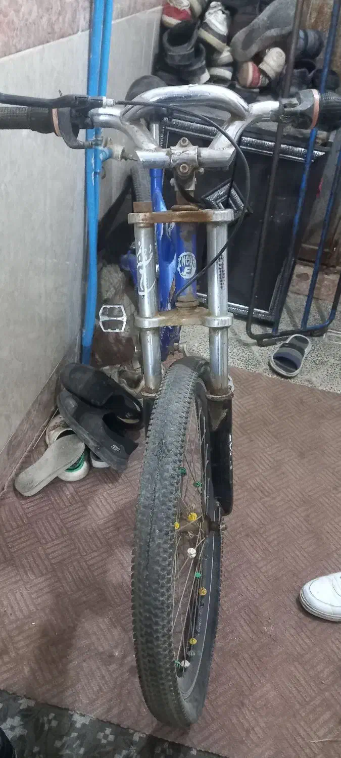 دوچرخه|دوچرخه، اسکیت، اسکوتر|قم, نوقطار|دیوار