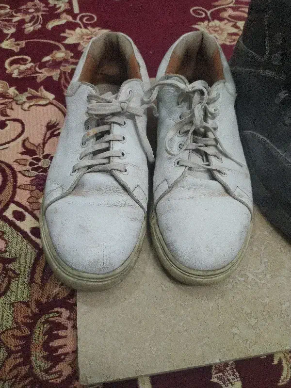 پوتین وکتونی|کیف، کفش، کمربند|زنجان, |دیوار