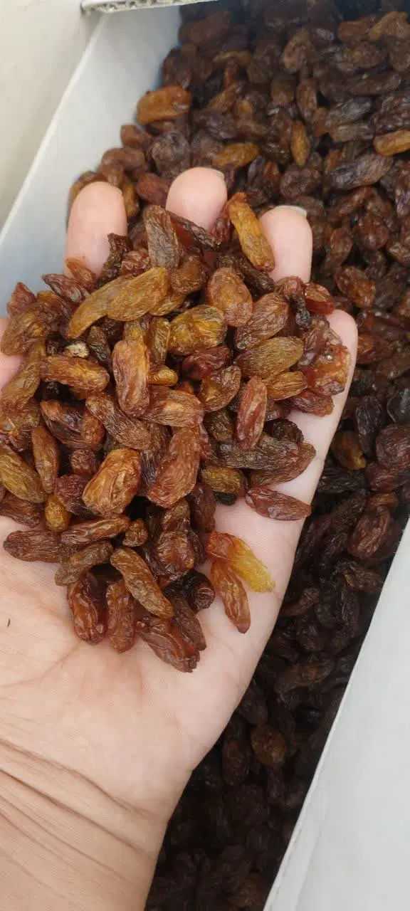 کشمش|خوردنی و آشامیدنی|اراک, |دیوار
