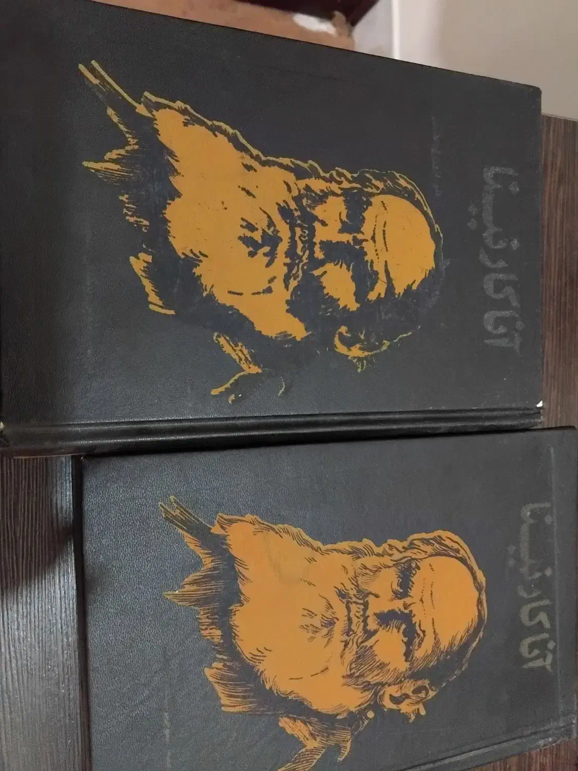 کتاب.رمان آناکارنیناجلد1و2|کتاب و مجله تاریخی|بندر دیر, |دیوار