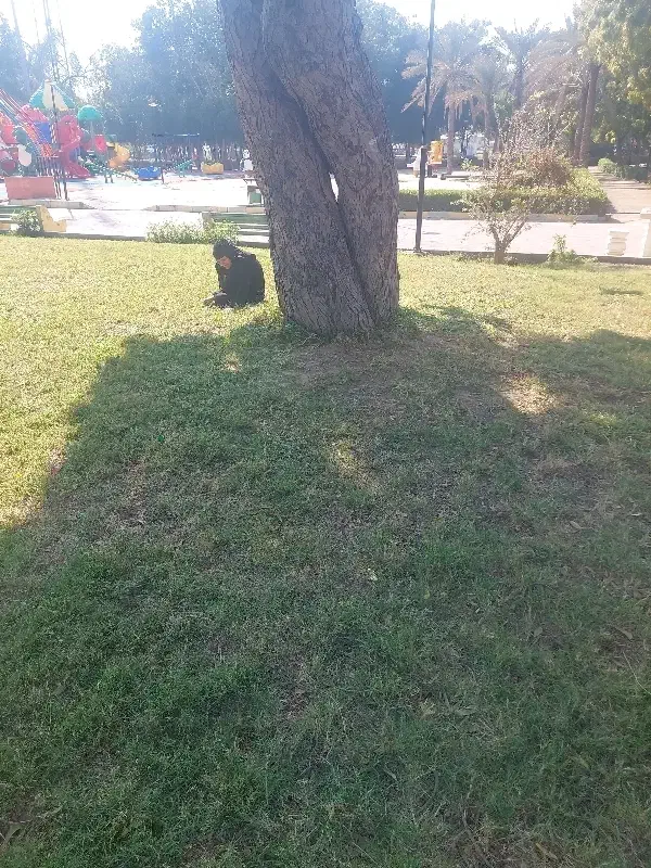 گوشواره گمشده|اشیا|بندرعباس, |دیوار