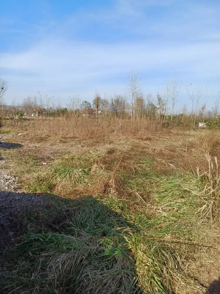 ۳۱۱ متر زمین در گیلان|فروش زمین و ملک کلنگی|سنگر, |دیوار