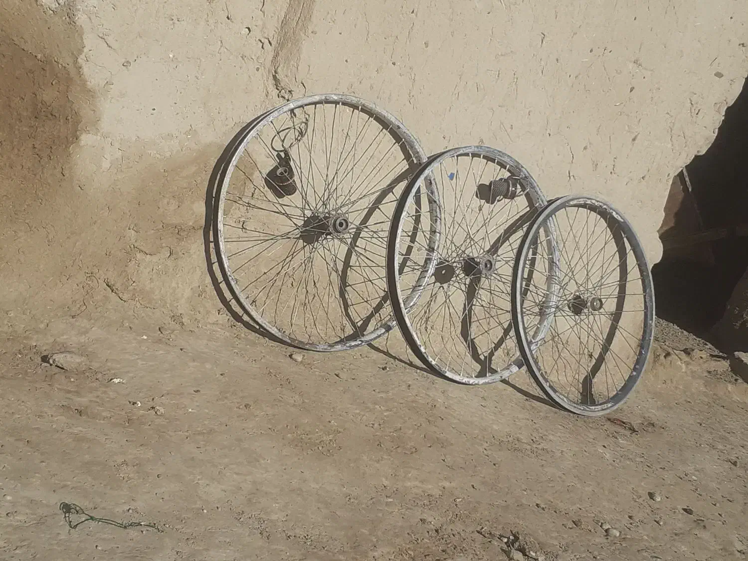 دوچرخه|دوچرخه، اسکیت، اسکوتر|جزنیک, |دیوار