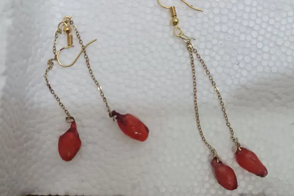 گوشواره انار|بدلیجات|دوگنبدان, |دیوار