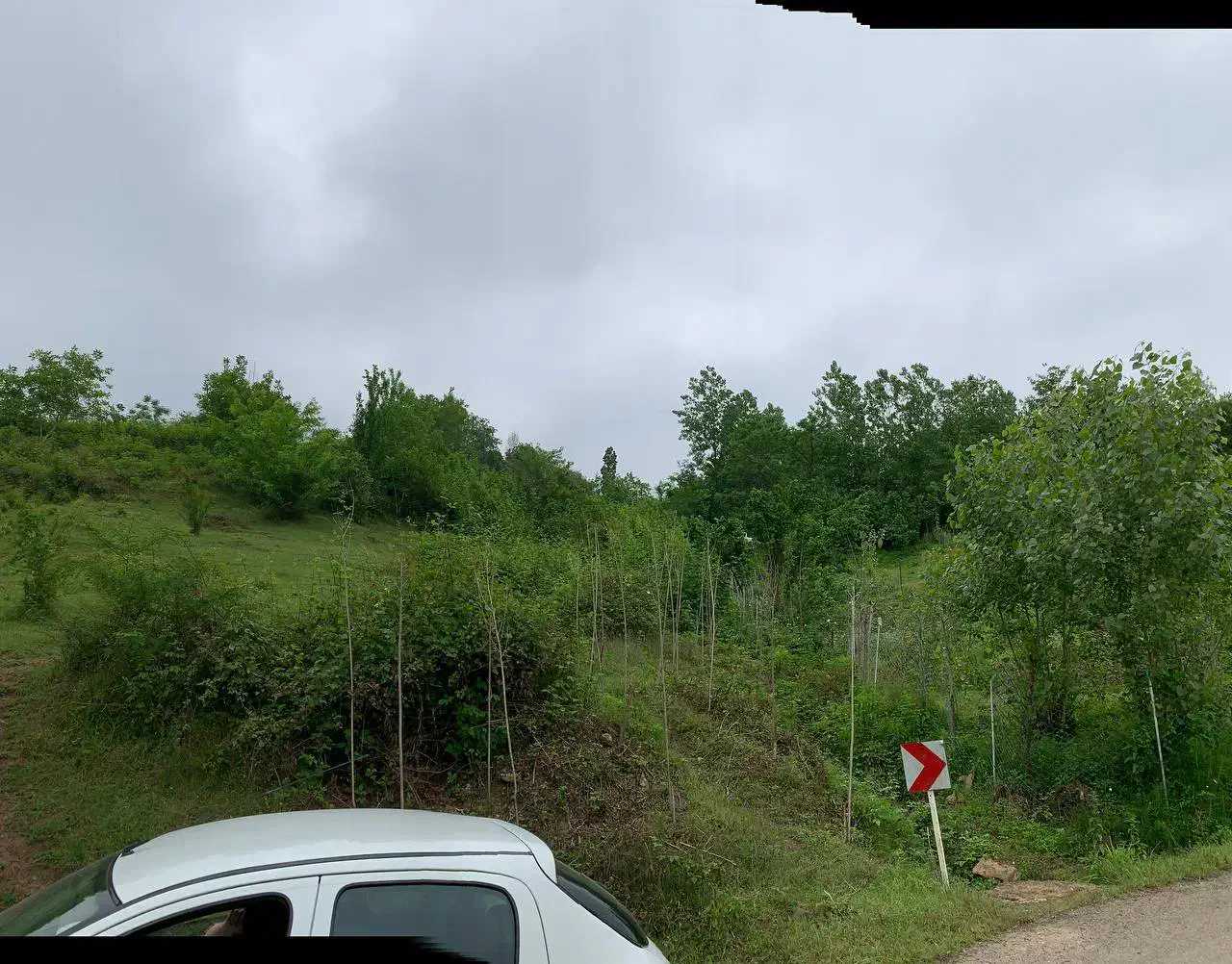 زمین درجه یک ویو ابدی مناسب ویلا باغ|فروش زمین و ملک کلنگی|املش, |دیوار