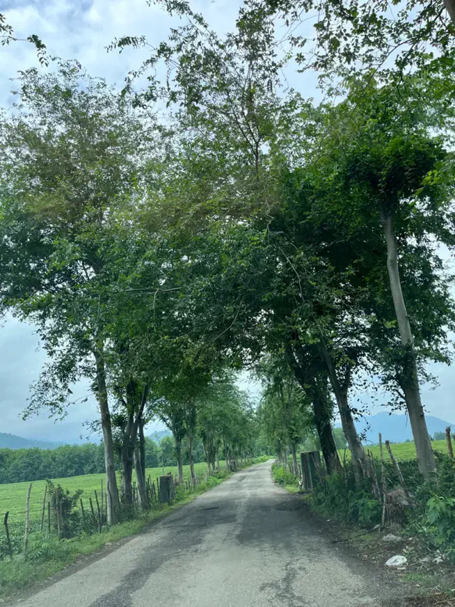 ۲۸۰ متر فومن سند دار|فروش زمین و ملک کلنگی|فومن, |دیوار