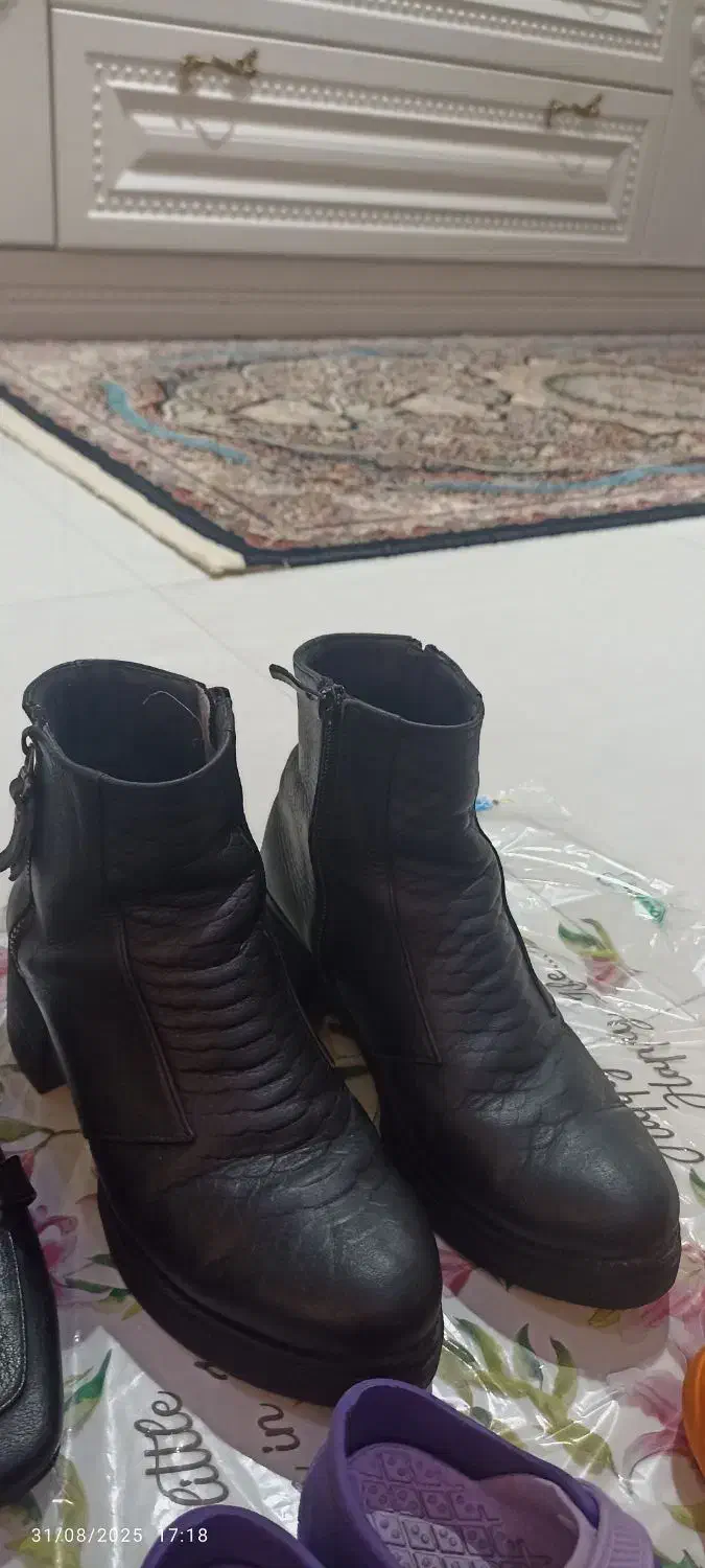 کیف وکفش های زنانه و بچگانه|کیف، کفش، کمربند|ری, دیلمان|دیوار