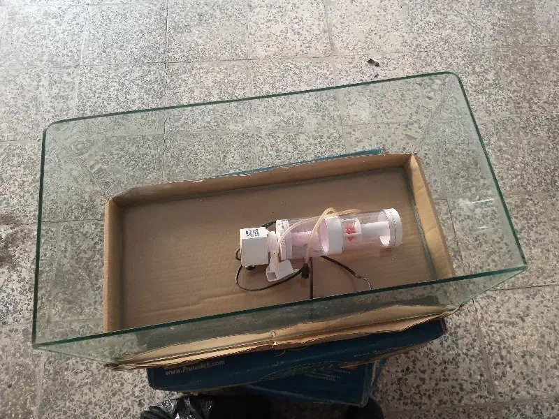 اکواریوم و پمپ تصفیه و هوا|ماهی|رشت, کوی مهر|دیوار