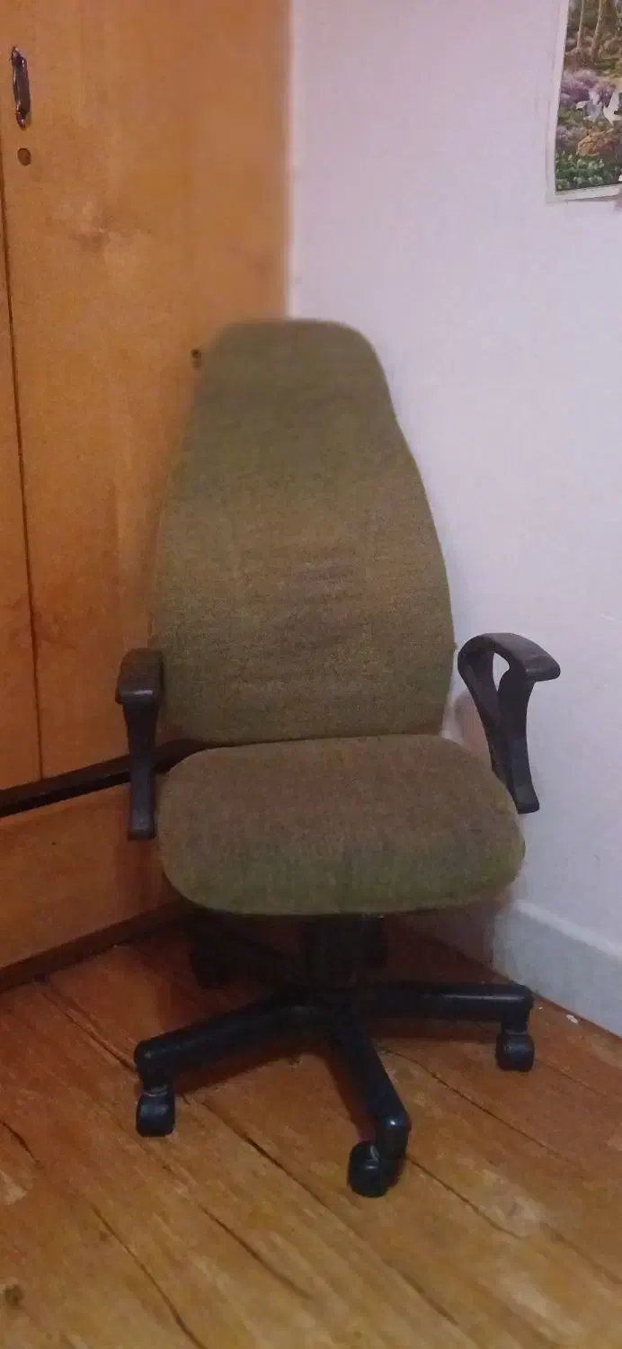 صندلی نو|صندلی و نیمکت|گنبد کاووس, |دیوار