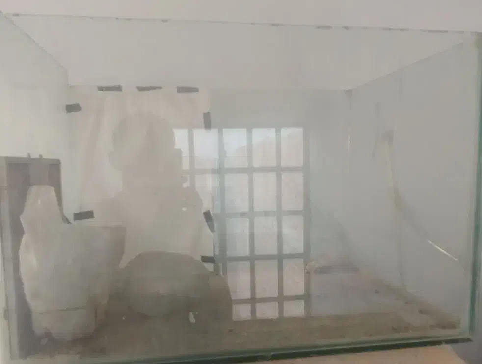 آکواریوم|ماهی|زابل, |دیوار