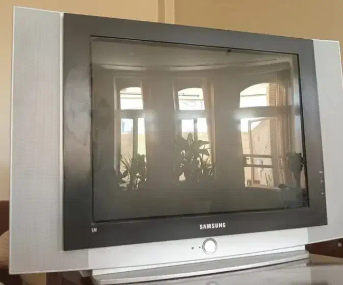 تلوزیون 29اینچ سالم بدون خش وایراد|تلویزیون و پروژکتور|اصفهان, رکن الدوله شرقی|دیوار