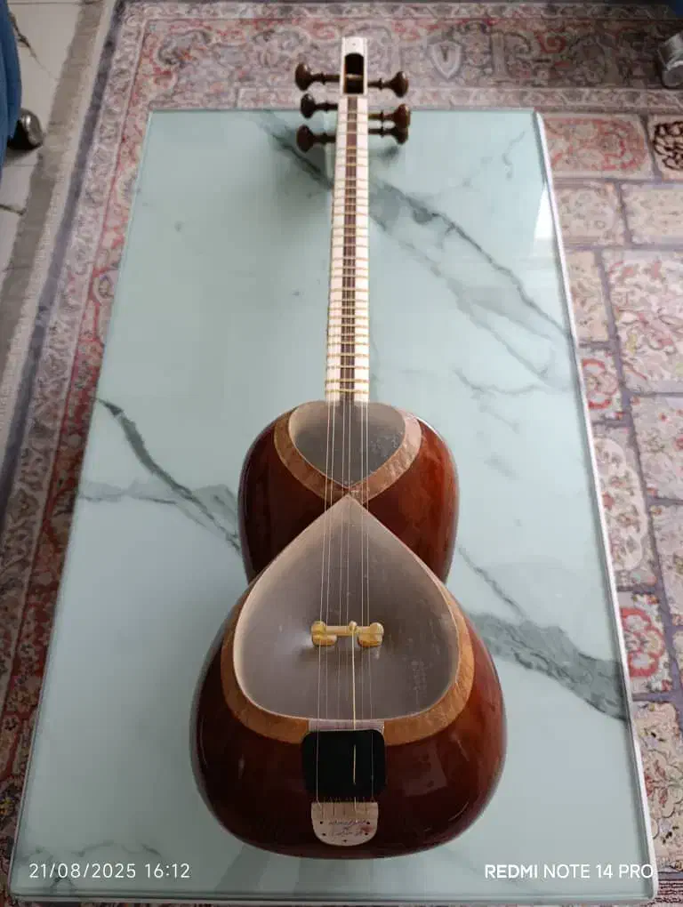 تار|سازهای سنتی|اصفهان, ناژوان|دیوار