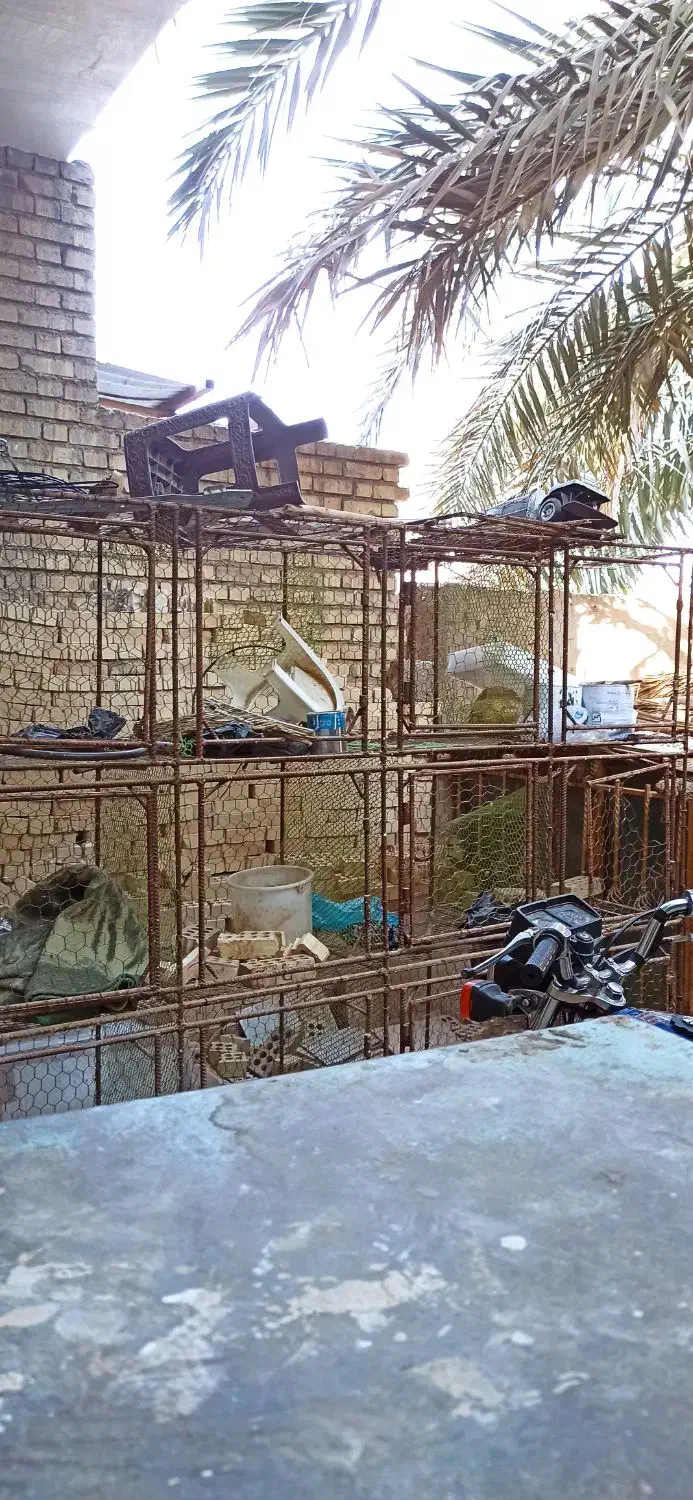 قفس پرنده|لوازم جانبی حیوانات|سوسنگرد, |دیوار